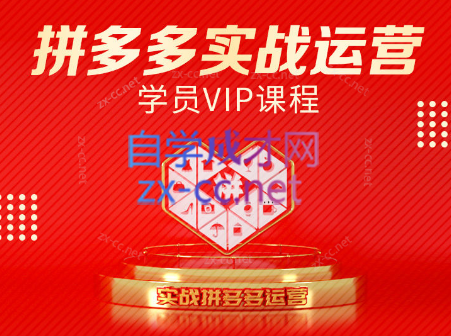 推易电商·拼多多实战运营课(更新2025月)-追梦聊项目