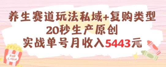 养生赛道玩法私域+复购类型，20秒生产原创实战单号月收入5k+-追梦聊项目