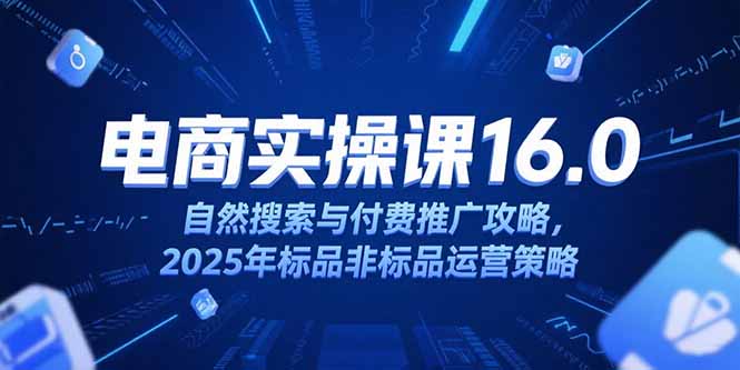 淘宝电商运营课16.0，自然搜索与付费推广攻略，2025年标品非标品运营策略-追梦聊项目