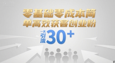 零基础零成本简单高效获客创业粉，一天引流30+-追梦聊项目