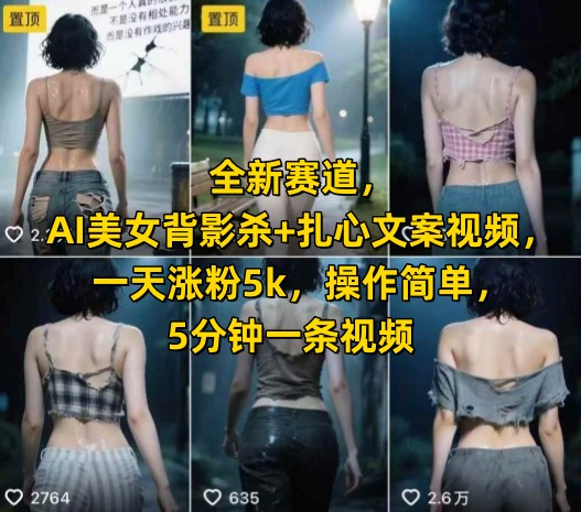 全新赛道，AI美女背影杀+扎心文案视频，一天涨粉5k，操作简单，5分钟一条视频-追梦聊项目