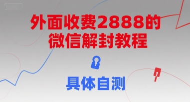 外面收费2888的微信解封教程，具体自测-追梦聊项目