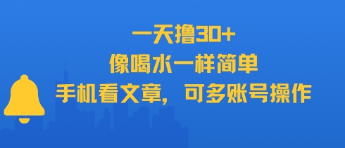 一天撸30+，像喝水一样简单，手机看文章，可多账号操作-追梦聊项目