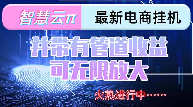 智慧云π电脑挂机单机每天收益300—500+ 并带有团队管道收益 可无限放大-追梦聊项目