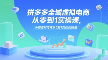 拼多多全域虚拟电商从零到1实操课，小白虚拟电商从0到1实操到精通-追梦聊项目