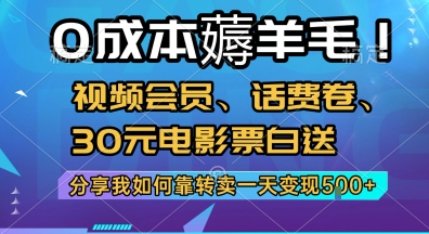 0成本薅羊毛!视频会员、话费卷、30元电影票白送，分享我如何靠转卖一天变现5张+【揭秘】-追梦聊项目