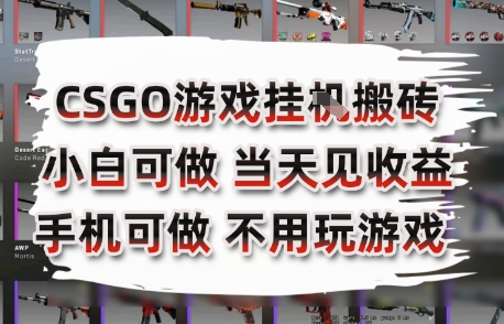 CSGO游戏挂G搬砖，小白纯手机即可操作，不用电脑打游戏，日入3张+，副业网创项目【揭秘】-追梦聊项目