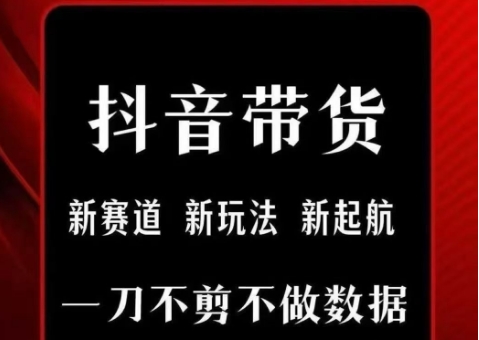 抖音短视频一刀不剪带货，不剪辑，不直播，每天发个视频，等着出单获取带货佣金-追梦聊项目