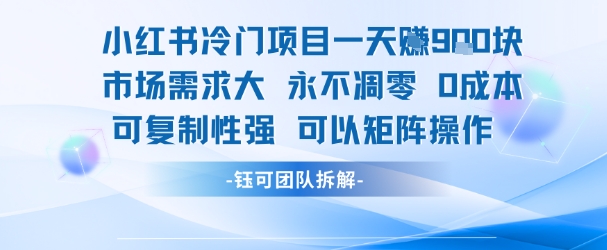 小红书冷门项目一天收益9张，市场需求大，0成本，可复制性强可以矩阵操作-追梦聊项目