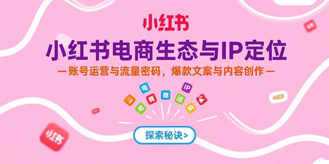 小红书电商生态与IP定位，账号运营与流量密码，爆款文案与内容创作-追梦聊项目