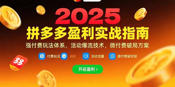拼多多盈利实战指南，强付费玩法，活动爆流技术，微付费破局方案(更新7月-追梦聊项目