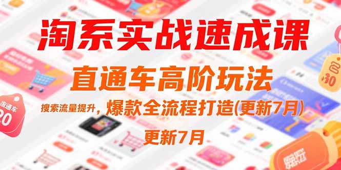 淘系实战速成课，直通车高阶玩法，搜索流量提升，爆款全流程打造(更新7月-追梦聊项目