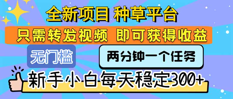 全新项目 种草平台 只需要转发任务视频 即可获得收益 新手小白每天300+-追梦聊项目