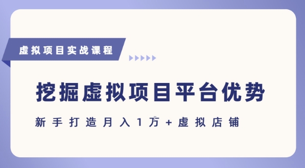 抓住虚拟项目各平台优势，新手轻松月入1W+(给出具体建议)-追梦聊项目