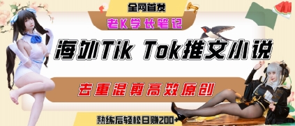 海外tiktok小说推文暴力项目，高停留率，高转化率，上手后一天搞顿饭钱不是问题-追梦聊项目