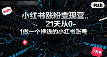 小红书涨粉变现营，21天从0-1做一个挣钱的小红书账号-追梦聊项目