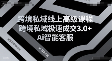 跨境私域线上高级课程，跨境私域极速成交3.0+Ai智能客服-追梦聊项目