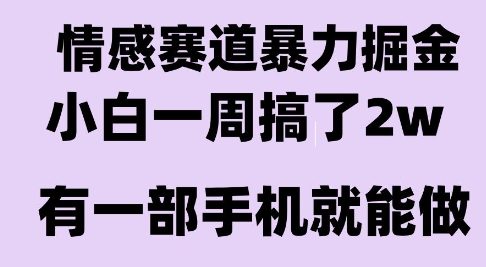 情感暴力掘金项目，新人操作一周挣了2W，长期稳定小白可做【揭秘】-追梦聊项目