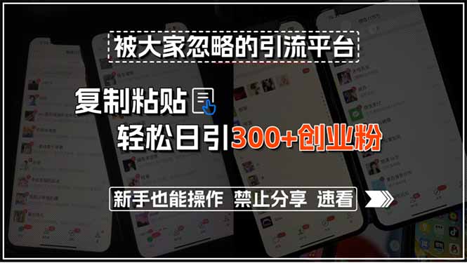 被大家忽略的引流平台，复制粘贴轻松日引300+创业粉，新手也能操作，禁…-追梦聊项目