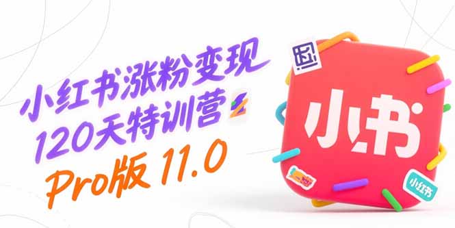 小红书涨粉变现120天特训营Pro版11.0：从0到1掌握平台运营,内容制作和变现-追梦聊项目