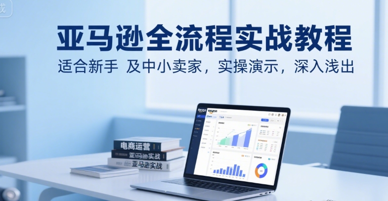 亚马逊全流程实战教程，适合新手及中小卖家，实操演示，深入浅出-追梦聊项目