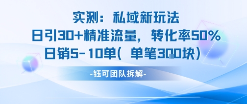 实测私域新玩法日引30加精准流量转化率50%日销5-10单每笔3张-追梦聊项目