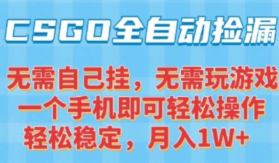 CSGO自动捡漏项目，最新独家玩法，一个手机可操作，新手小白轻松月入1W+，操作简单易上手【揭秘】-追梦聊项目