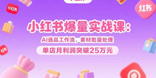 小红书爆量实战课：AI选品工作流，素材批量处理，单店月利润突破25万元-追梦聊项目