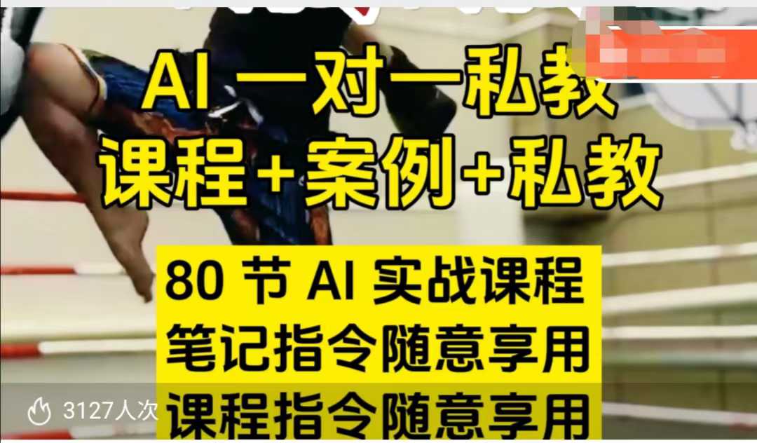 AI指令实战课，课程+案例，80节AI实战课程，笔记指令随意享用，课程指令随意享用(更新7月)-追梦聊项目