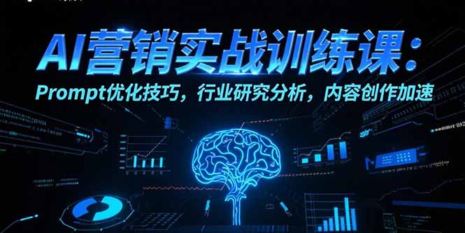AI营销实战训练课：Prompt优化技巧，行业研究分析，内容创作加速-追梦聊项目