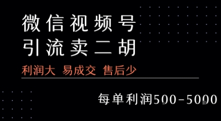 视频号卖二胡教程，利润大 易成交 售后少，一单利润5张+-追梦聊项目