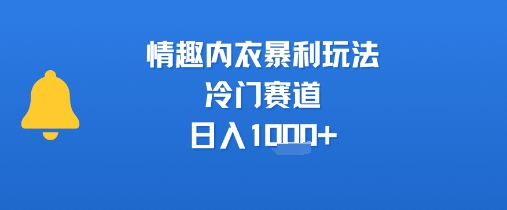 情趣内衣暴利玩法，冷门赛道，日入1k+-追梦聊项目
