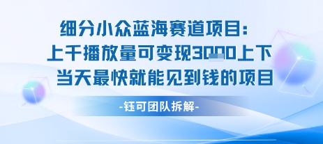 小众蓝海赛道项目：当天变现1k+适合新手操作 +适合长期玩-追梦聊项目