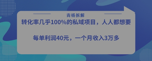 转化率最高的私域项目，每单利润40-50米，月入过1w-追梦聊项目