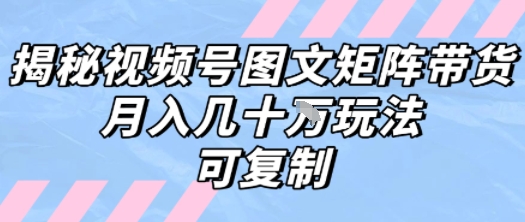 解密视频号图文矩阵带货，月入几个W的打法，可复制-追梦聊项目