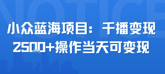 小众蓝海项目，千播变现2.5k+操作当天可变现-追梦聊项目