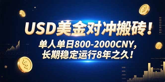 USD美金对冲搬砖!单人单日800-2000CNY，长期稳定运行8年之久!-追梦聊项目