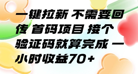 一键拉新 不需要回传 首码项目 接个验证码就算完成 一小时收益70+【揭秘】-追梦聊项目