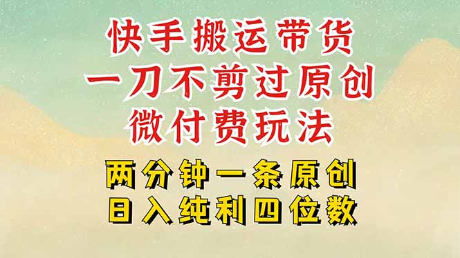 快手黑科技搬运带货，一刀不剪过原创，微付费投流玩法，轻松日入四位数…-追梦聊项目