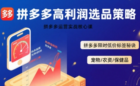 拼多多选品暴利技术实战课，拼多多高利润选品策略，拼多多限时低价标签秘诀-追梦聊项目