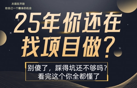 25年，你还在疯狂的找项目吗？别傻了，看完这个你都懂了【揭秘】-追梦聊项目