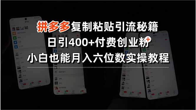 拼多多复制粘贴引流秘籍，日引400+付费创业粉，小白也能月入六位数实操…-追梦聊项目