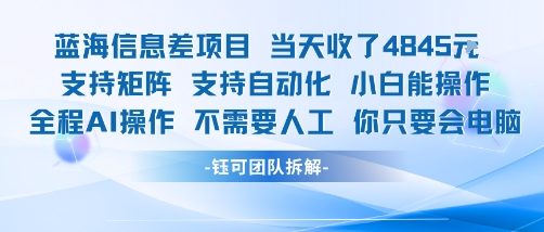 蓝海信息差项目当天收米1k+ 支持矩阵支持自动化小白能操作全程AI操作不需要人工你只要会电脑-追梦聊项目