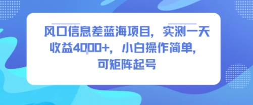 风口信息差蓝海项目，实测一天收益4k+，小白操作简单，可矩阵起号-追梦聊项目