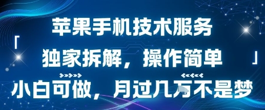 苹果手机技术服务，独家拆解，操作简单，小白可做，月过1W不是梦-追梦聊项目