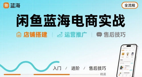 闲鱼蓝海电商实战，店铺搭建运营售后全流程-追梦聊项目