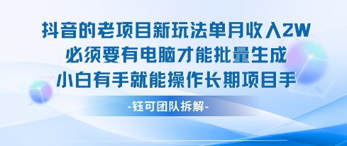 老项目新玩法单月收入2W小白有手就能操作长期项目-追梦聊项目