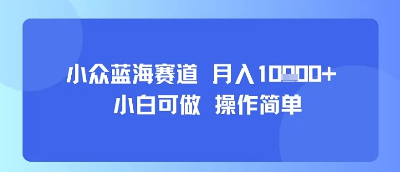 小众蓝海赛道，小白可做，操作简单，每天30分钟，月入1W+-追梦聊项目