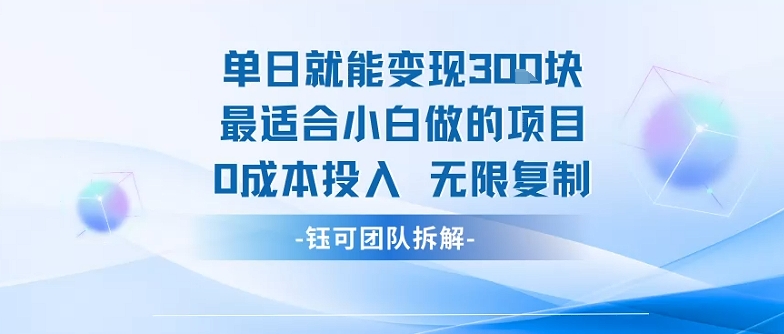 单日就能变现3张最适合小白做的项目0成本投入 无限复制-追梦聊项目