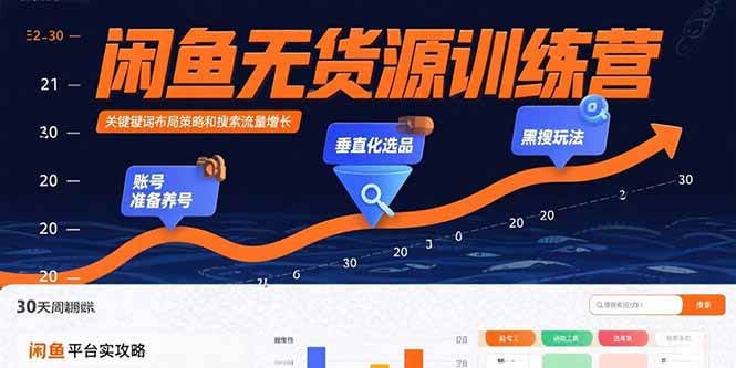闲鱼无货源训练营：账号准备养号/垂直化选品/黑搜玩法，0基础30天盈利指南-追梦聊项目